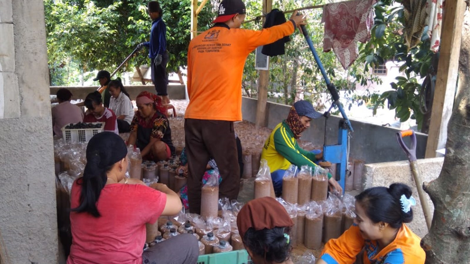 bisnis bersama mas